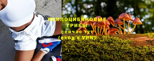 амф Сясьстрой