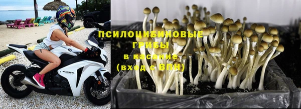 амф Сясьстрой