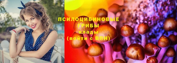 амф Сясьстрой