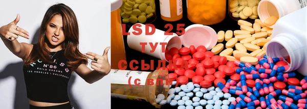 spice Тайга